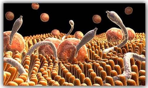 паразити вътре в тялото